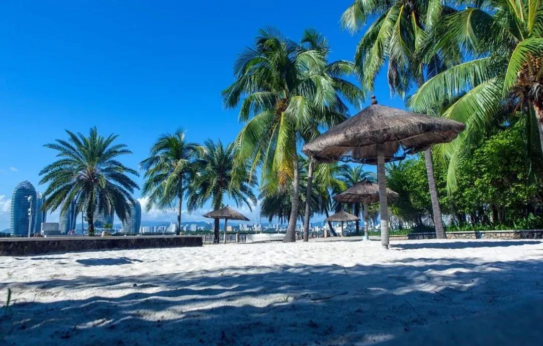 你好，我叫三亚，这是我的新版简历，请查收