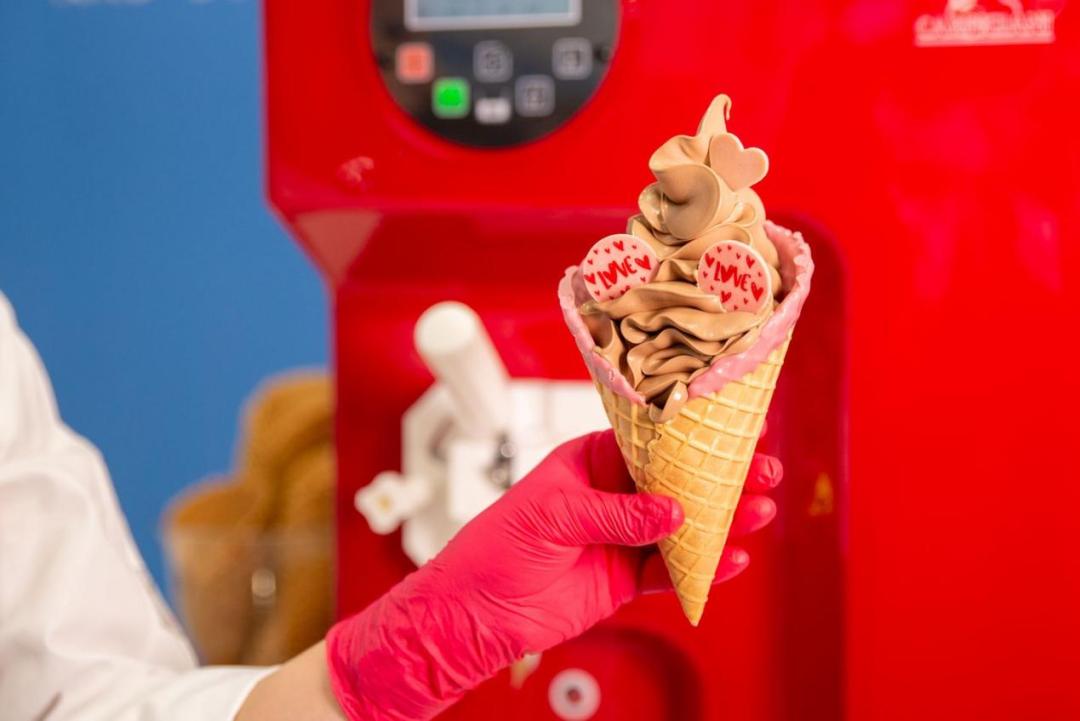 上海食神供应链管理,上海食神供应链有限公司