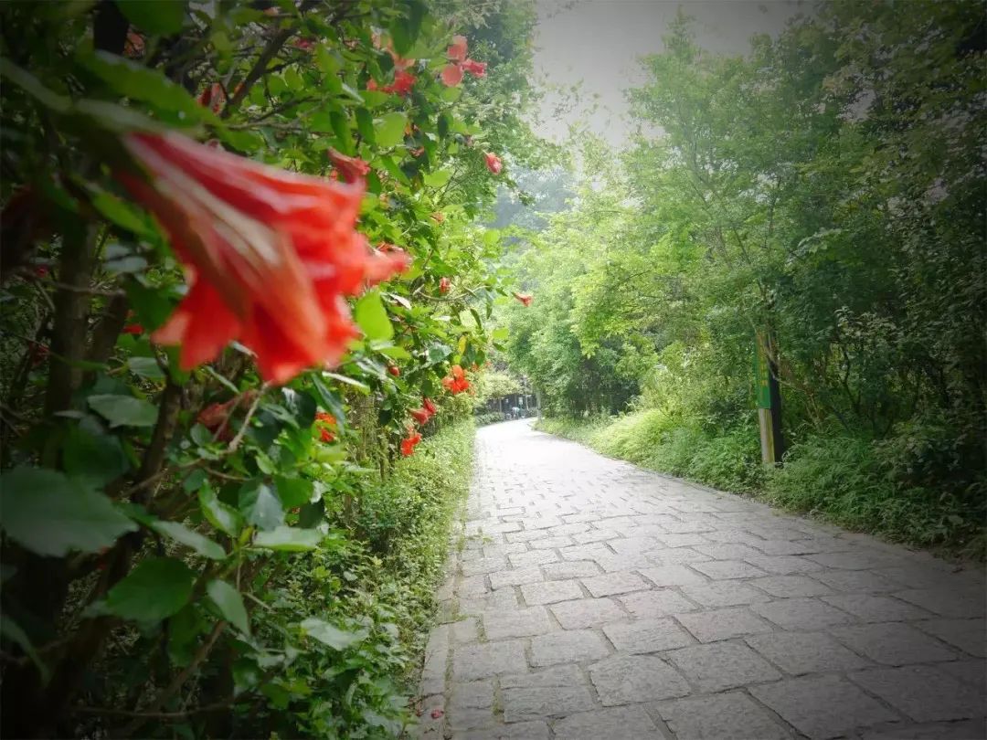 假期去得太快就像龙卷风,假期来去匆匆