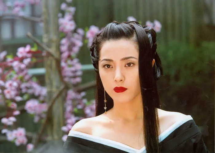 曾黎美貌刘烨,曾黎年轻时的颜值秦海璐评价