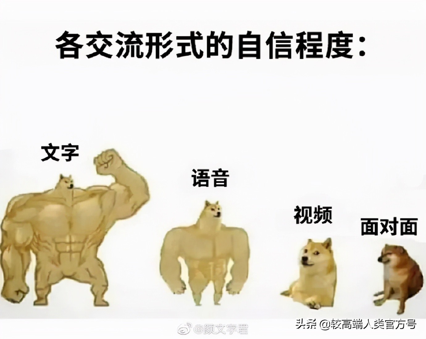 和直男聊天到底有多惨,和直男聊天到底有多折磨人