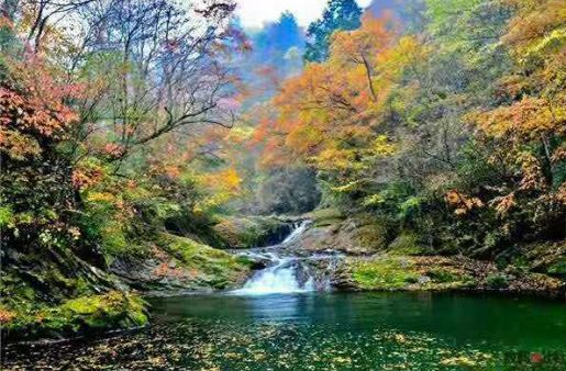 大巴山深山老林,大巴山隐居生活