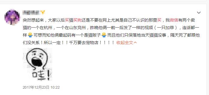 网上买比熊和博美,买博美犬和比熊