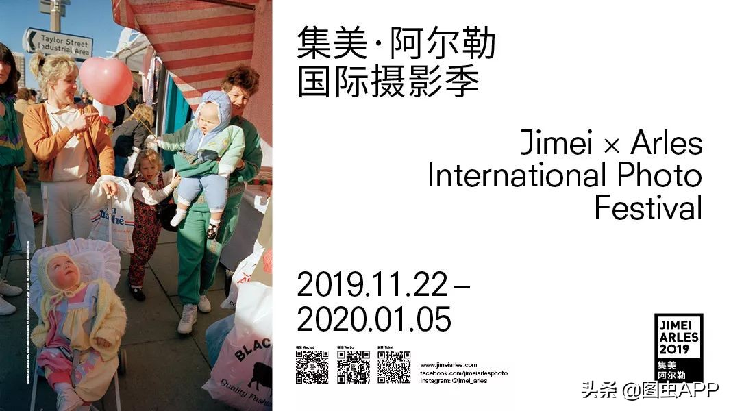 图虫opensealab摄影,图虫看动物世界系列