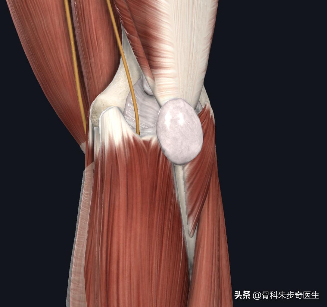 为什么胳膊有一阵一阵的痛,胳膊痛得最好最快的解决办法