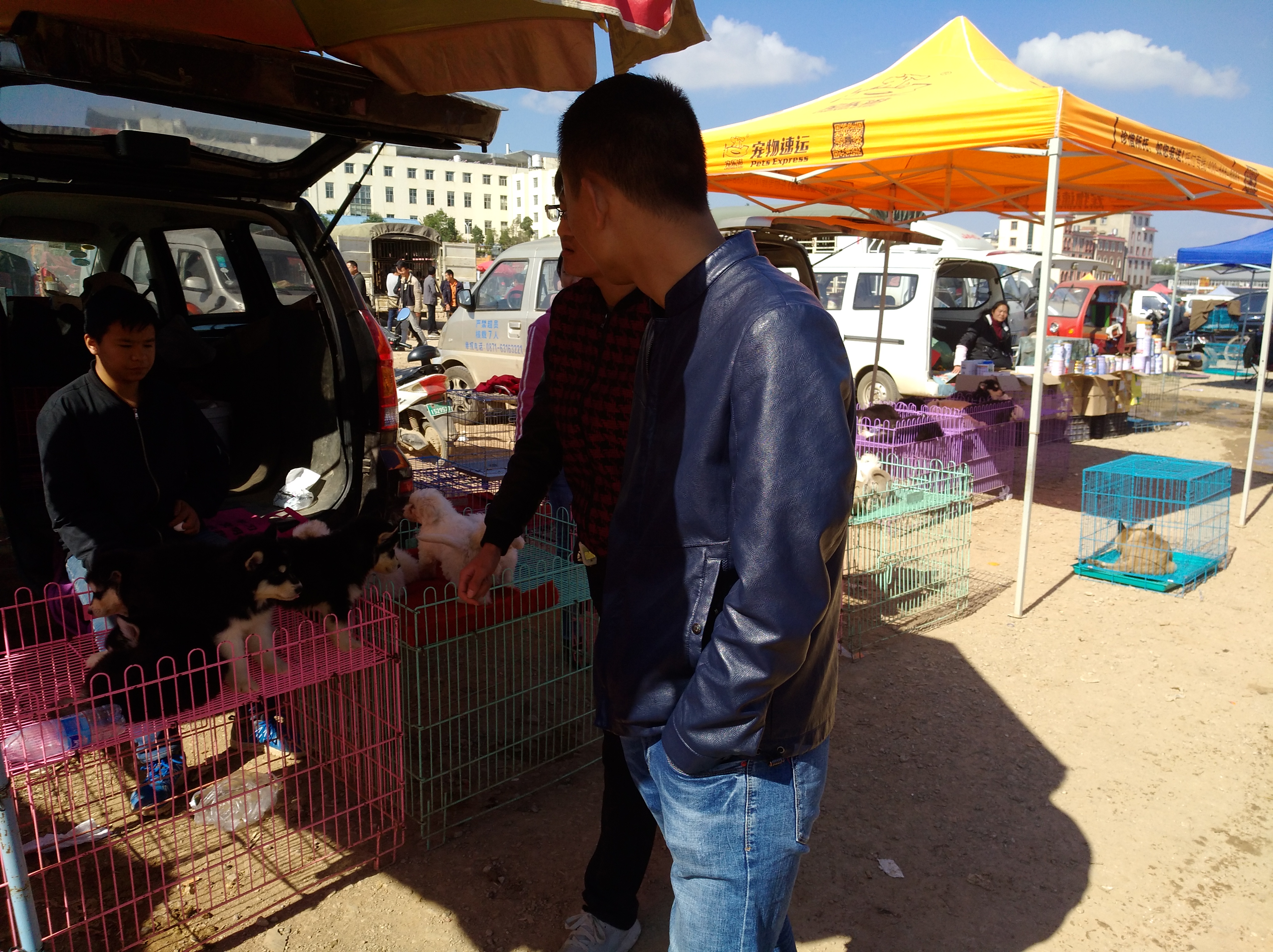 狗市是露天市场吗,狗市一般在哪