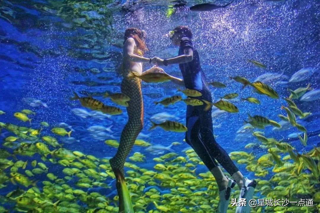 长沙盘小宝亲子乐园适合多大孩子,长沙周末亲子好去处