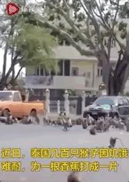 疫情还没结束需要辞职吗,疫情期间下岗失业人员补贴政策