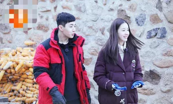 刘宪华退出向往的生活原因,刘宪华为什么退出向往的生活