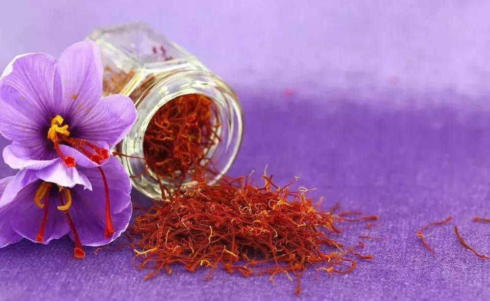 世界上最贵最好吃的西瓜,世界上最贵的大西瓜是什么