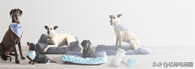 宠物用品市场大全,批发宠物用品在哪里进货