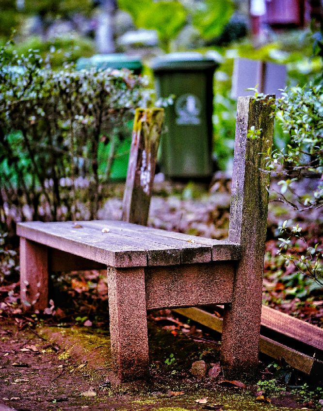 索尼a6000可以录像吗,索尼6000有自动跟焦吗