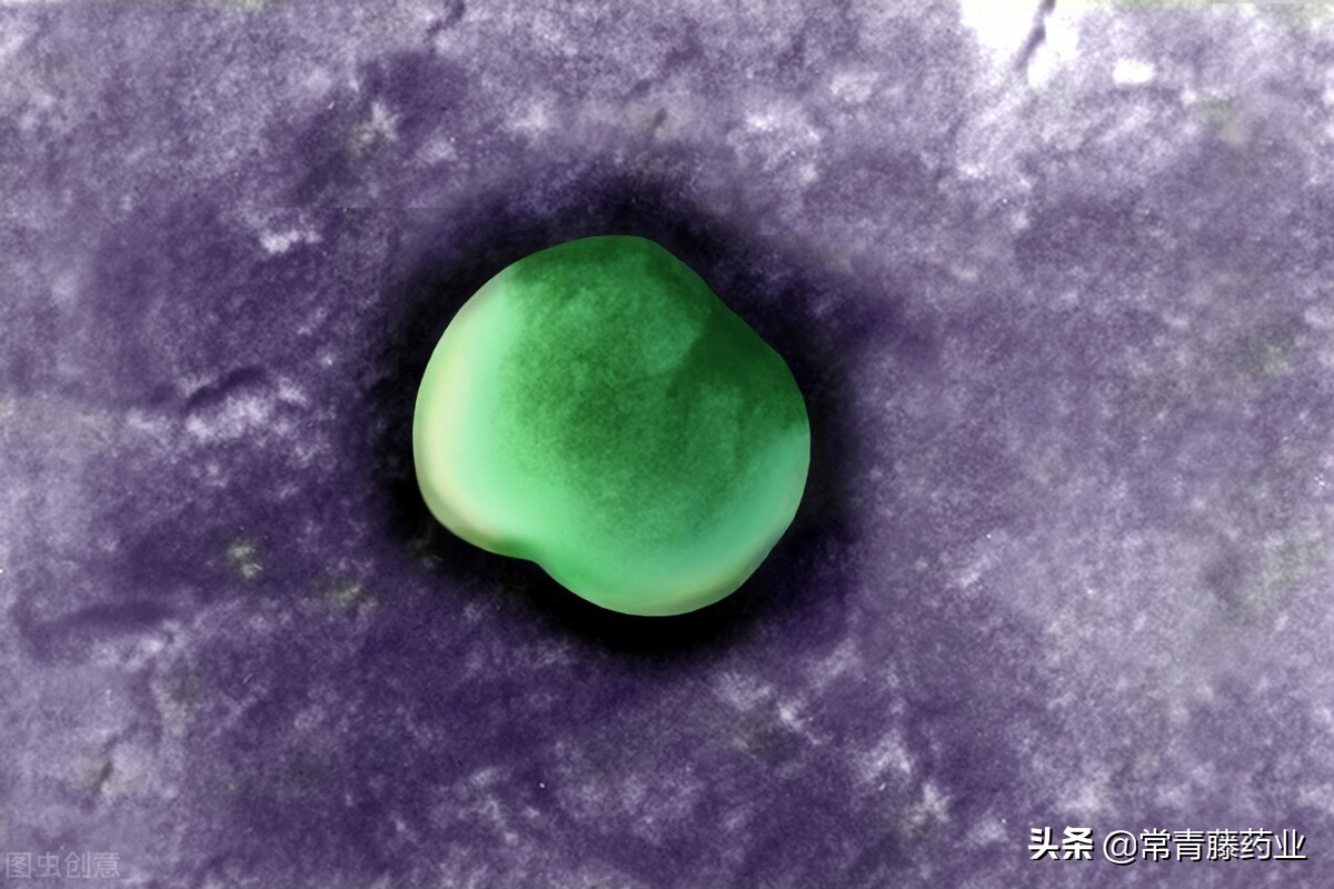 淋病是怎么传染的可以根治吗,淋病女性的症状一般几天可以治愈