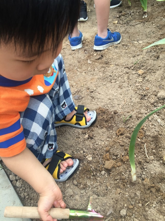 三亚自由行游玩攻略详细,三亚自由行攻略最详细