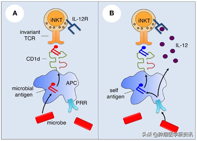 警惕！乳腺癌术后的淋巴水肿绝不能忽视