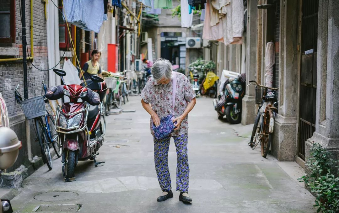 魔都这些秋日网红马路，不仅好看还很好吃