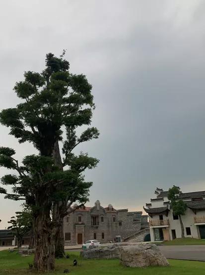 蚌埠城南新建不夜城,引爆旅游市场