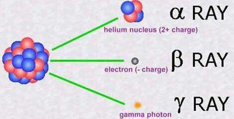 荣获六个奖项的科学家,中国科学家发现中微子
