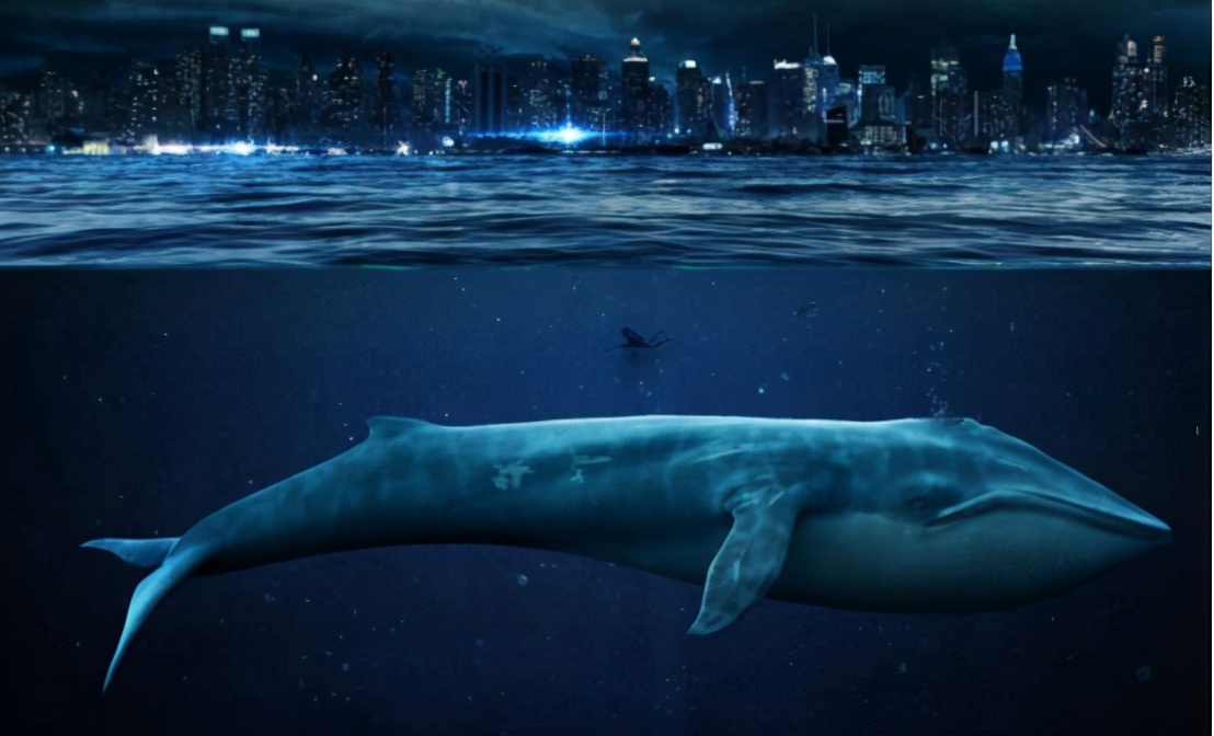 猛犸象是怎么灭绝的真正原因,为什么猛犸象要灭绝