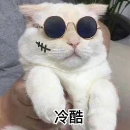 干货分享如何利用副业月入2万,副业赚钱的十大忠告