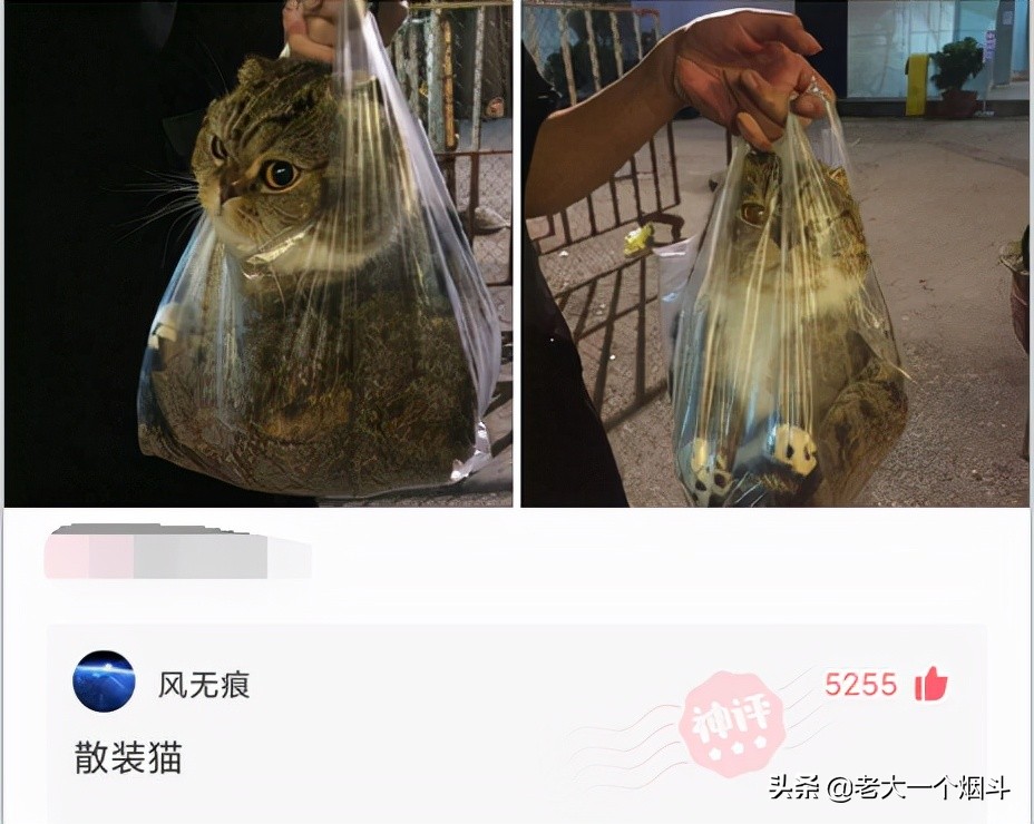 那些让你笑出猪叫的小说,三十个让你爆笑的神回复