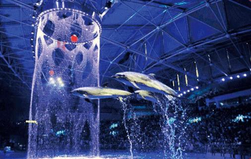 山东免费景区开放最新通知,山东景区门票免费政策有哪些