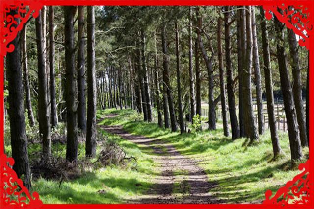 没资金没人脉农村做什么赚钱,农村有什么赚钱项目好做