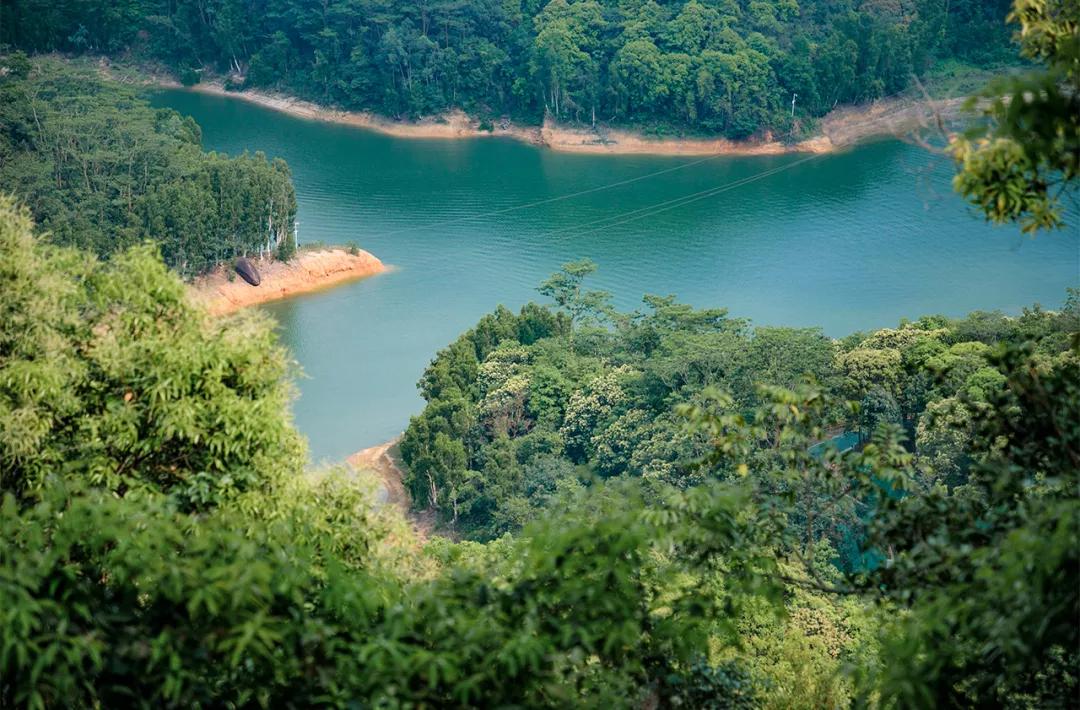 深圳值得去的地标,深圳值得去的景点排行榜