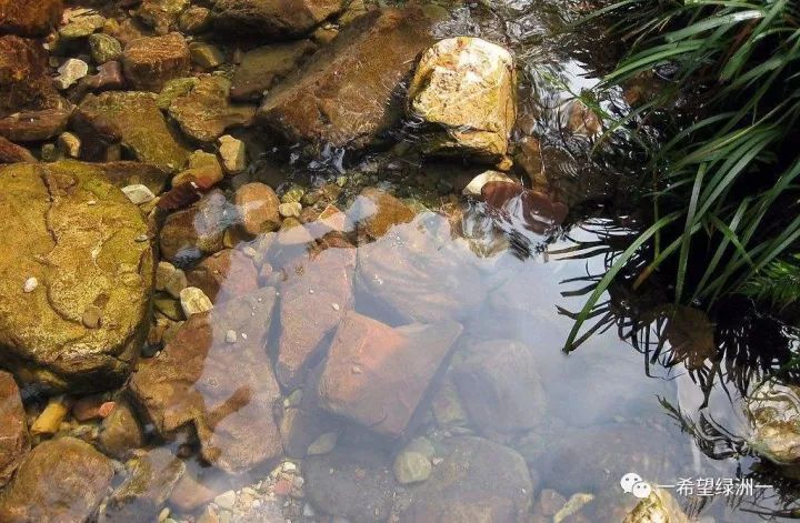 花生麸发酵无渣技术,花生麸无臭发酵方法要哪种红糖