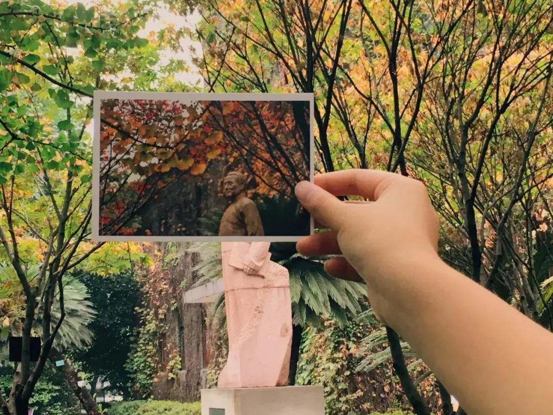 重庆南开中学物流园校区,重庆南开中学哪个校区最强