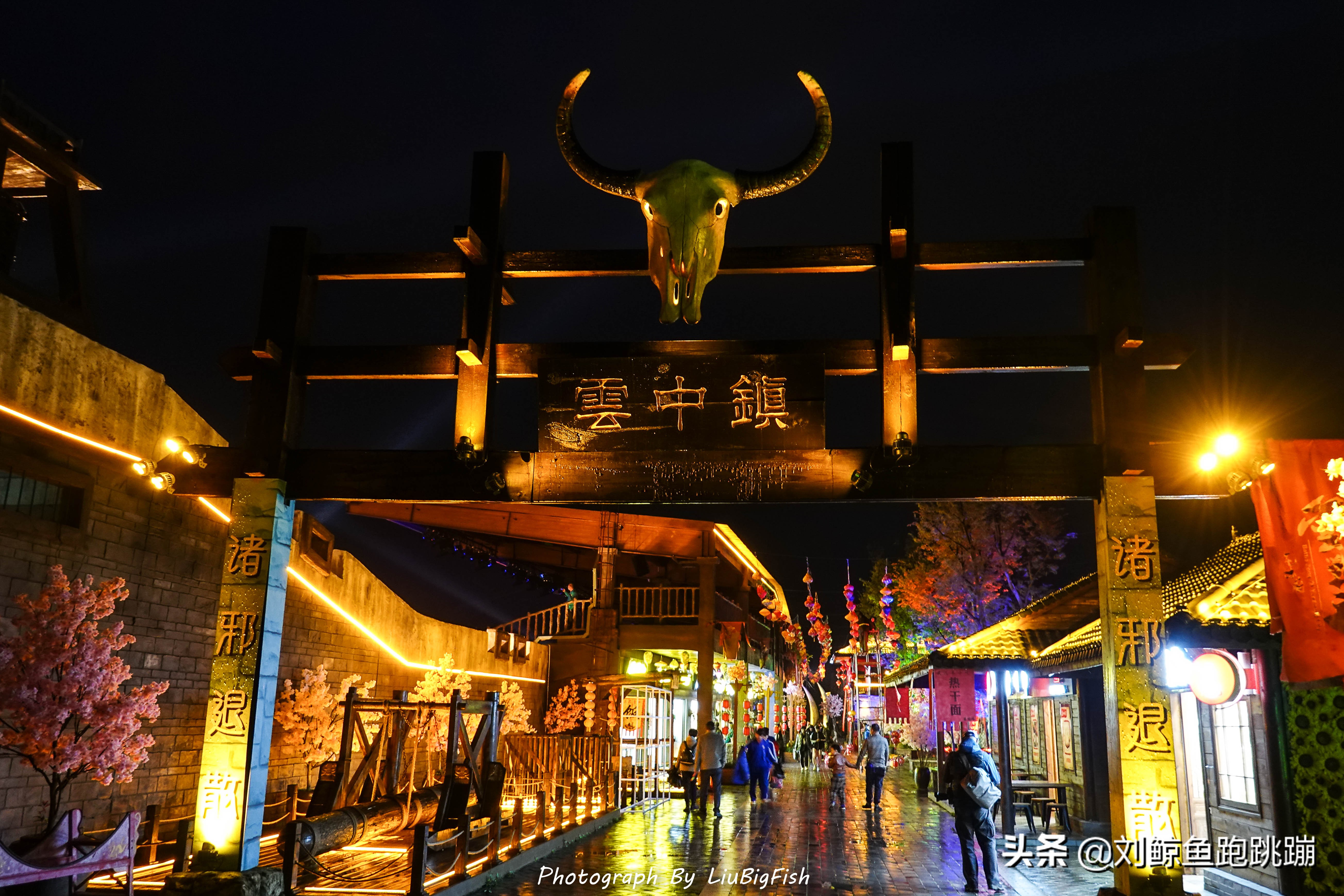 木兰草原马战演出直播,武汉木兰草原狂欢夜视频