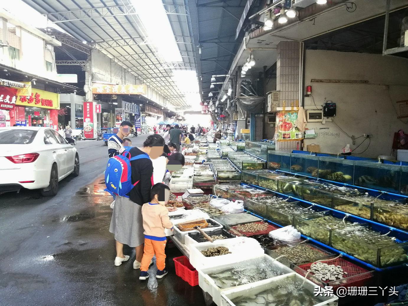 广州南沙生蚝最便宜海鲜市场,广州生蚝批发送货上门