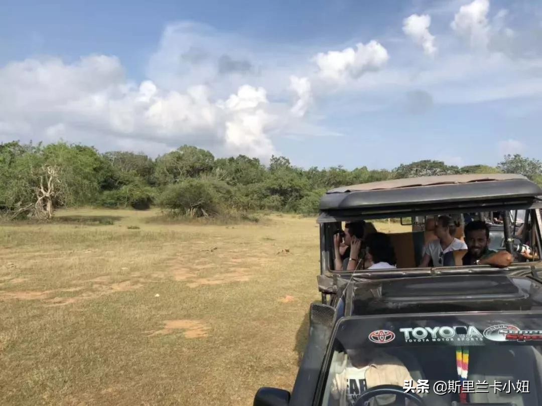 斯里兰卡带孩子游玩,斯里兰卡安缦