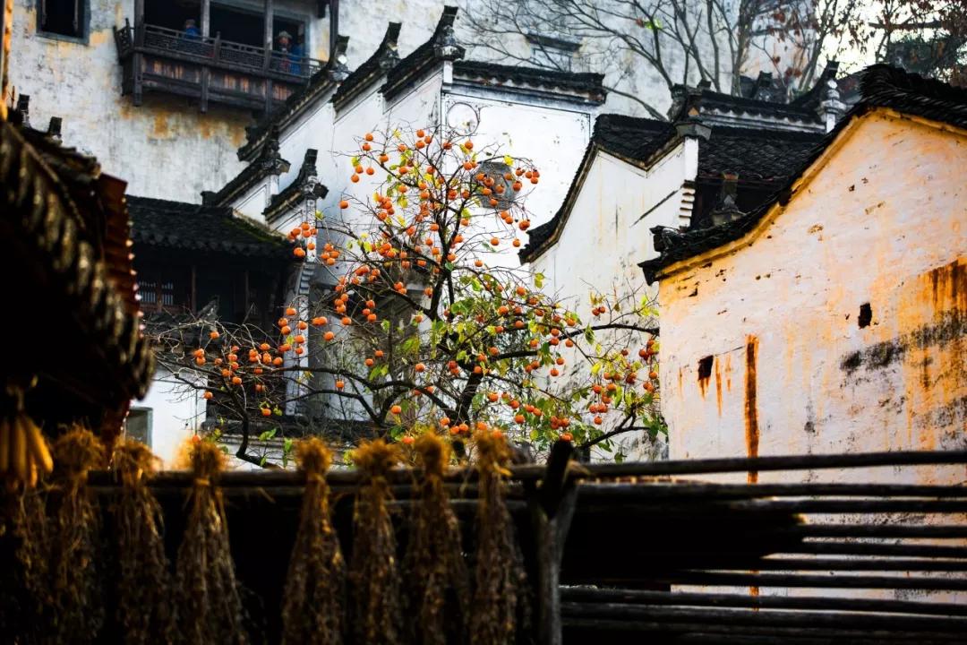 李白最美的十首古诗朗读,李白最美的诗30首二年级