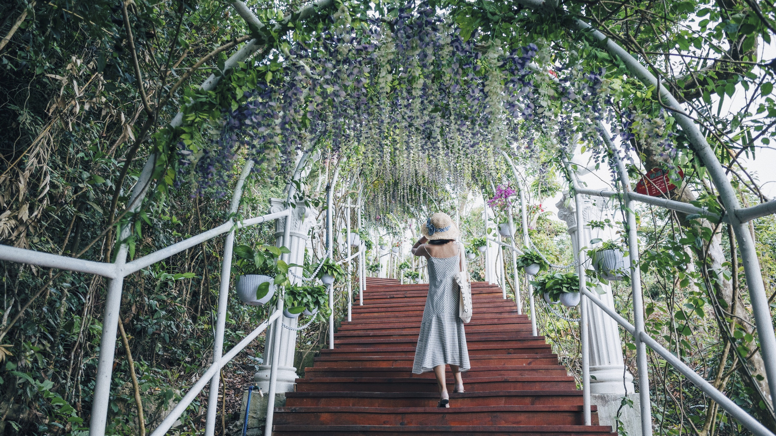 三亚凤凰岭山顶美景,三亚凤凰岭自然风景区攻略视频