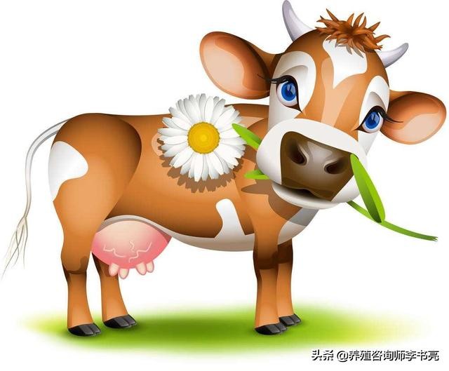 母牛常见问题,母牛常见病及防治方法