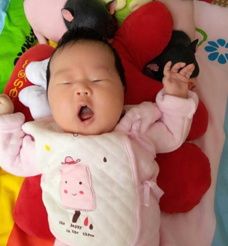 一哭二笑三认母完整版,一哭二笑三个月宝宝怎么养