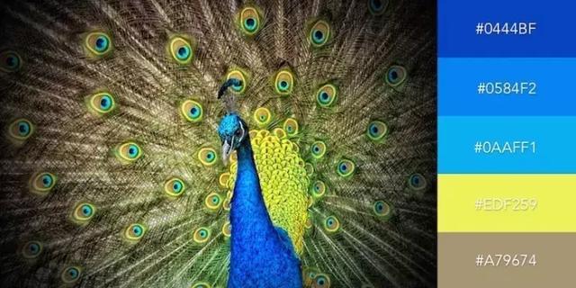 999张图片视频的卡点模板,服装设计素材收集与整理