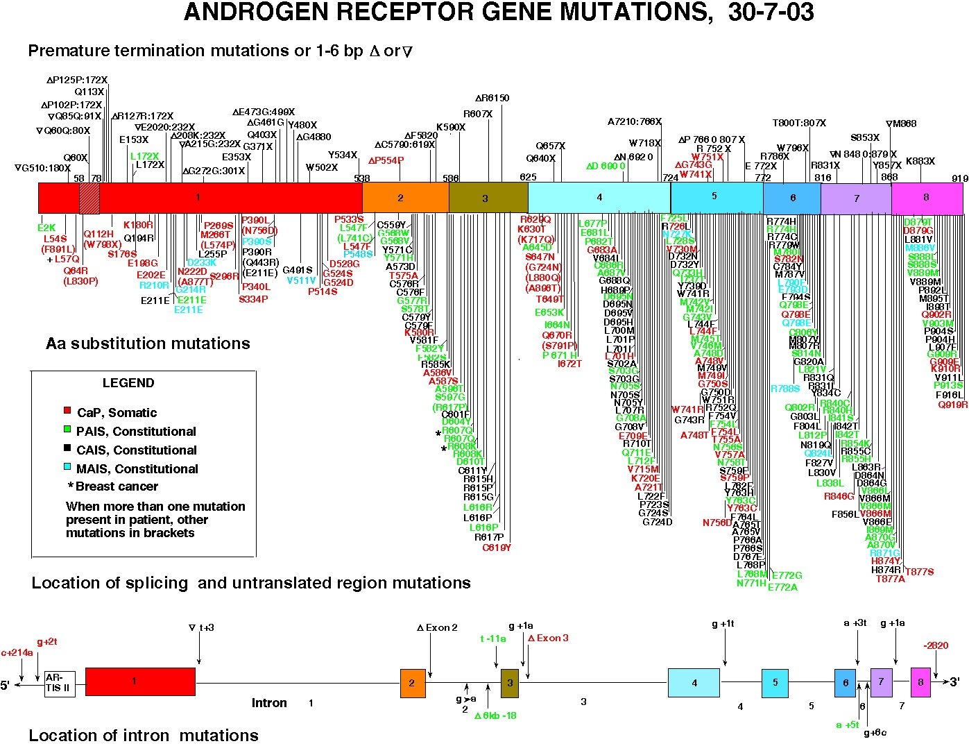 23岁脱发严重发量少怎么办 (脱发严重头发脆容易断是什么原因)