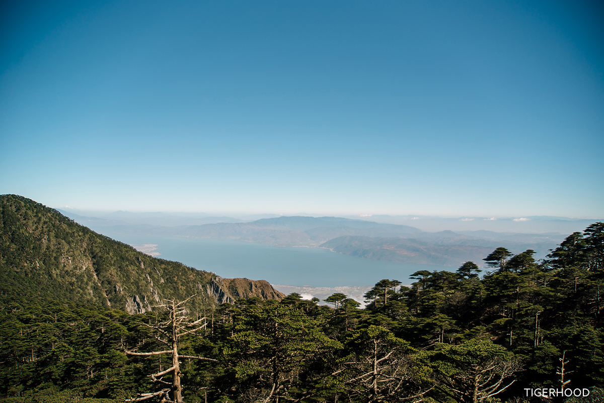 太格有物怎么样,太格有物