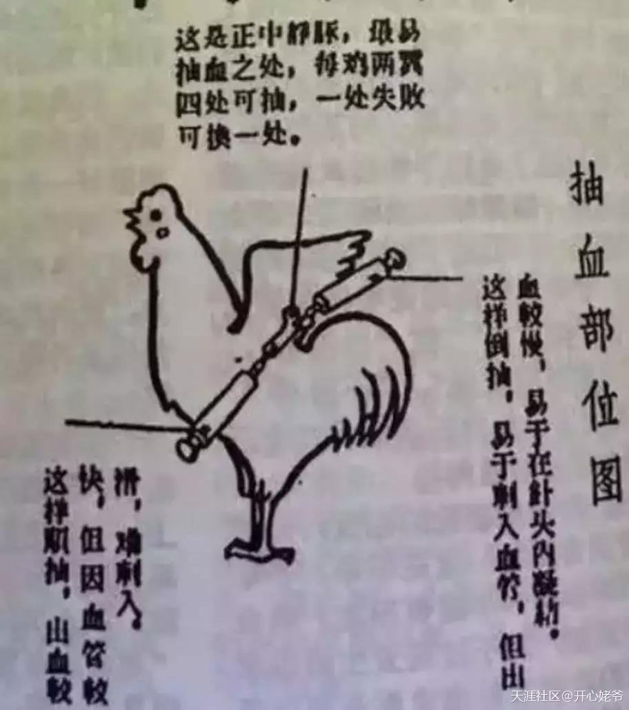 撞树、火疗、喝尿....谁是土法养生界的霸主？