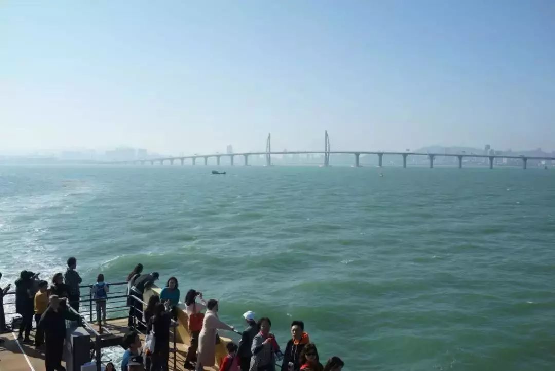 港珠澳大桥观光游轮180元,珠海游船观光港珠澳大桥