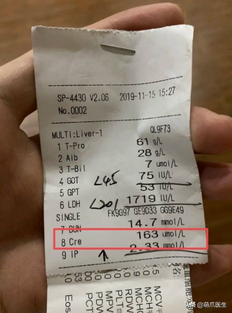 哪个品牌的猫粮把猫吃死了,go猫粮出事后怎么办