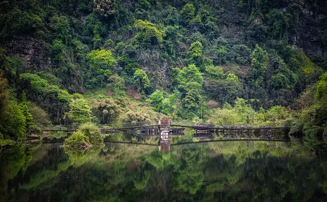 全国十大名茶旅游地,中国十大茶旅