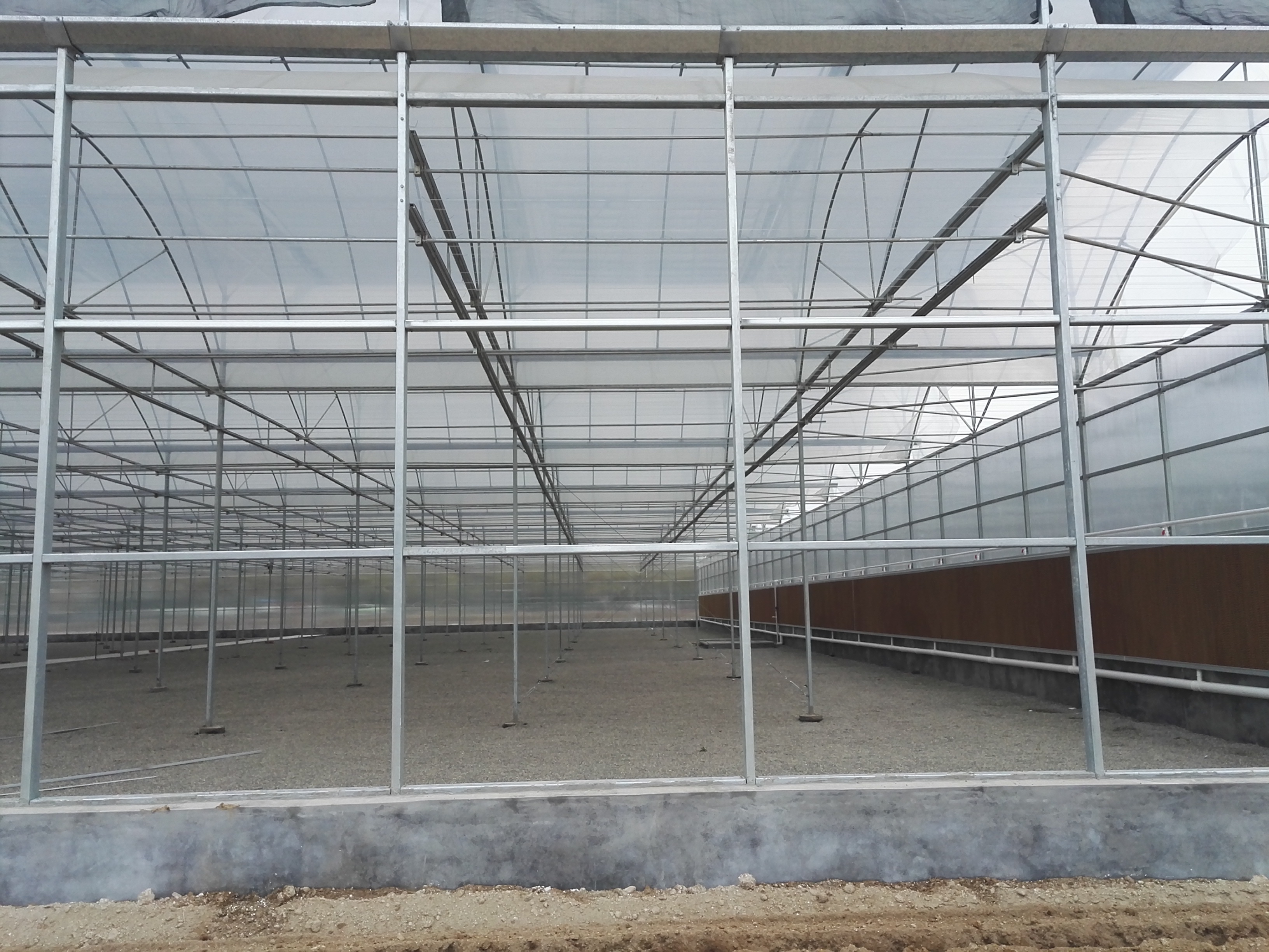 轻钢结构连栋薄膜温室大棚,连栋大棚建造全过程