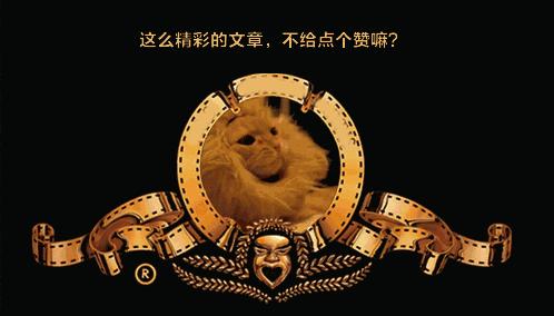 中华田园犬vs日本柴犬,日本柴犬和中华田园犬的区别