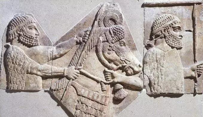 古代文明的起源及类型：有点讽刺，文明始于奴役及不平等