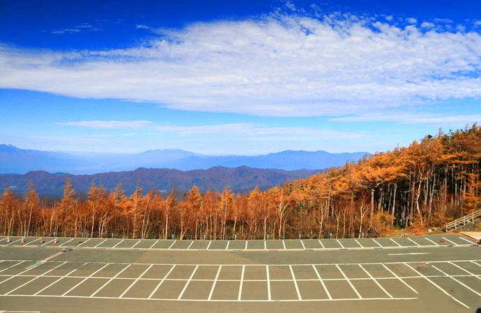去富士山看樱花,日本富士山浪漫