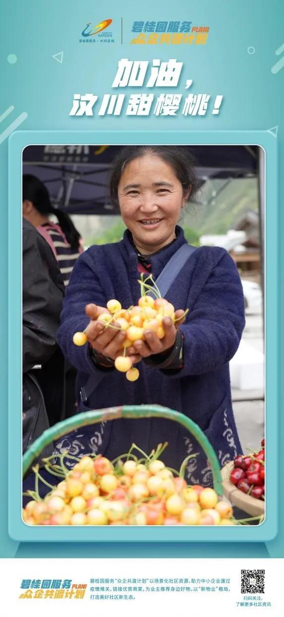 top物业管理,top级住宅什么意思