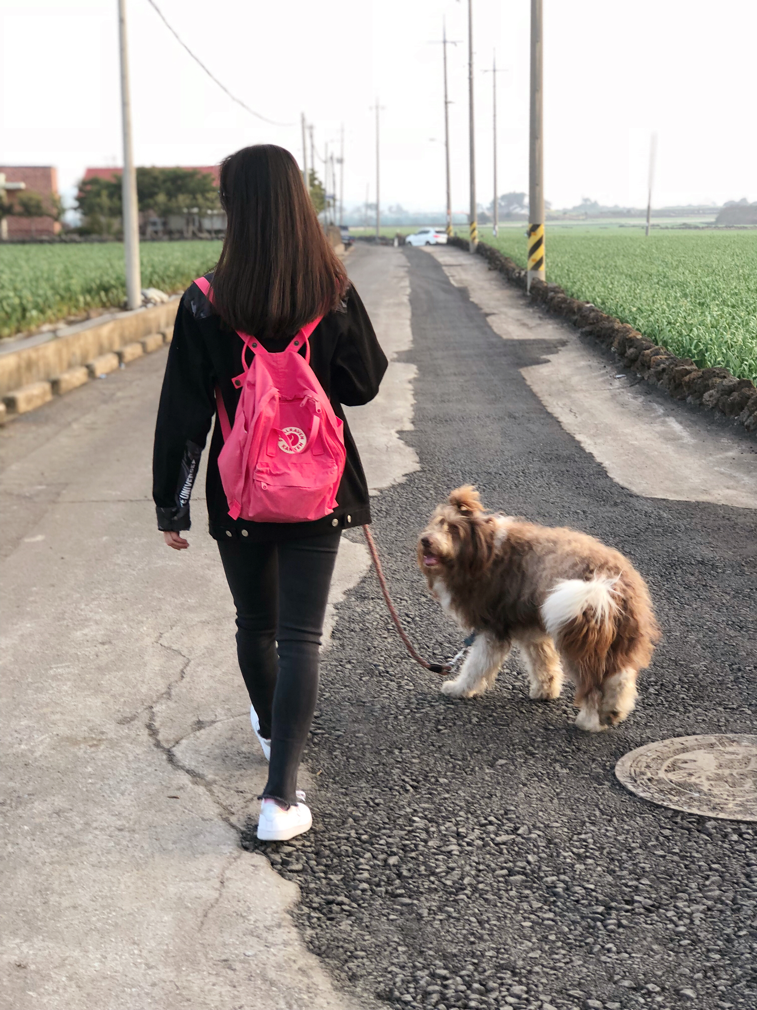 出国游玩新手小白,出国去韩国济州岛打工